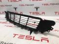 Решетка декоративная основного радиатора (передний бампер) Tesla Model S 1 поколение [2-й рестайлинг] 2022, 1564699-00-B - фото №4