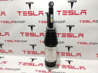 пневмостойка задняя Tesla Model S 1 поколение [2-й рестайлинг] 2022, 1420466-00-F