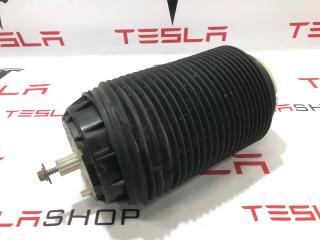 пневмоподушка Rivian R1T 1 поколение 2022, C100001909-J