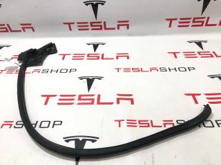 Уплотнитель задней двери Tesla Model S 1 поколение (2012 - 2016), 6009596-00-D