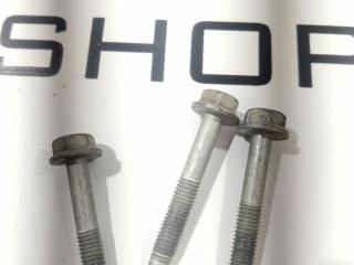 болт Tesla Model X 1 поколение 2018, 1008724-00-B, 1055368-00-G, 1035000-01-J, 1035300-00-E