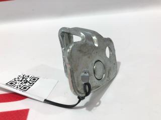 Петля замка двери Tesla Model S 1 поколение [2-й рестайлинг] 2021, 6006618-00-A, 16896766