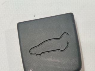 Заглушка облицовки крышки багажника Tesla Model X 1 поколение 2019, электро, 1053206-00-D