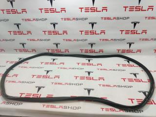 уплотнитель Tesla Model X 1 поколение 2019, электро, 1033038-00-B, 1459233-00-D