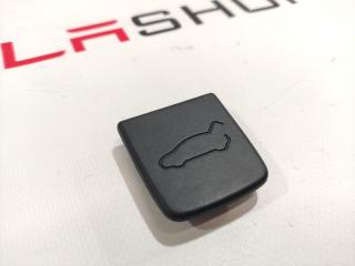 Заглушка облицовки крышки багажника Tesla Model X 1 поколение 2018, 1053206-00-D