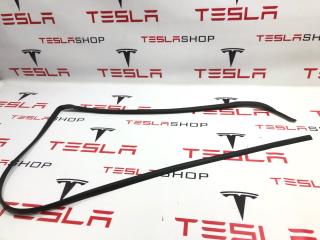 Уплотнитель порога Tesla Model S 1 поколение [рестайлинг] 2019, 6009588-00-D
