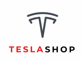 Внешние элементы Tesla Model Y 1 поколение 2020, 1495594-08-A