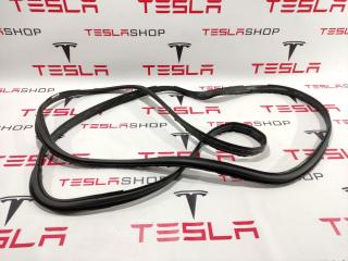 Уплотнитель проема дверного Tesla Model X 1 поколение 2016, 1118637-00-F, 1032469-00-C