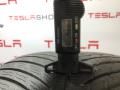 шина Tesla Model S 1 поколение [рестайлинг] 2018 - фото №6