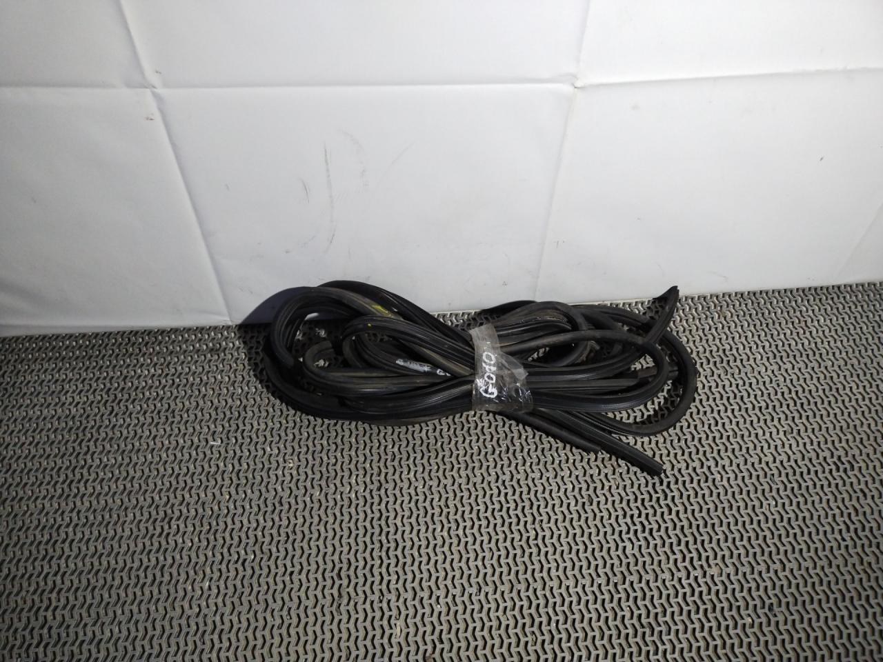 уплотнитель двери Ford Escape 3 поколение C520 2014, 2.5 л., бензин, АКПП, внедорожник 5 дв. - фото №1