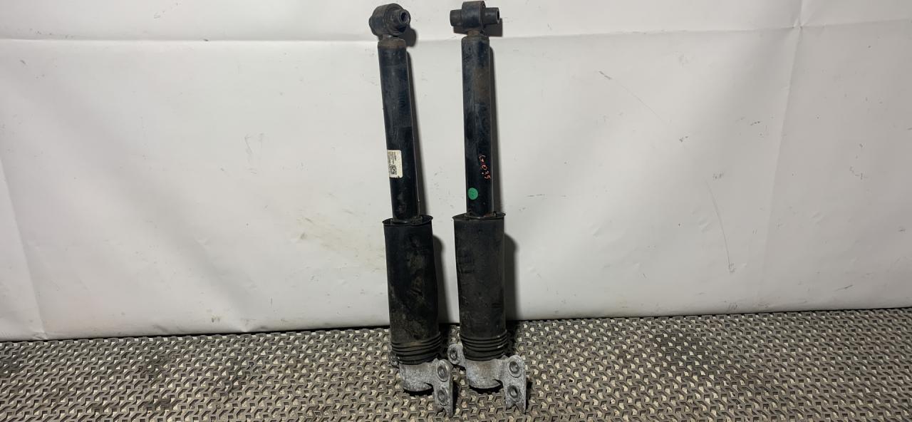 амортизатор задний GMC Terrain 2 поколение 2018, 2.0 л., бензин, АКПП, серый, передний привод, 84230391 - фото №1