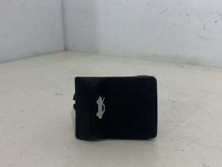 ручка открывания капота Chevrolet Equinox 3 поколение 2018, 1.5 л., бензин, АКПП, белый, внедорожник 5 дв., полный привод