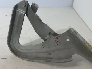 петля капота правая Volkswagen Tiguan 2 поколение 2018, 2.0 л., FSI, бензин, АКПП, белый, внедорожник 5 дв., BB5316800, 5NN823302