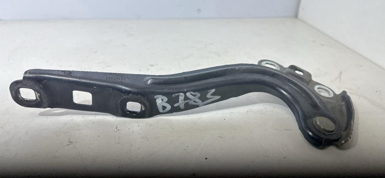 петля капота Chevrolet Equinox 3 поколение 2019, 1.5 л., бензин, АКПП, серый, внедорожник 5 дв., полный привод, 84054684 - фото №1