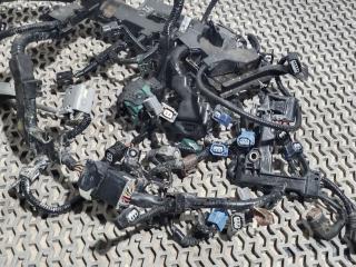 проводка двигателя Acura TLX 1 поколение [рестайлинг] 2020, 2.4 л., бензин, АКПП, белый, седан, передний привод, 32110RDF-A52