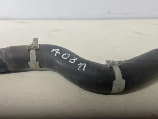 патрубок радиатора Acura TLX 3-е поколение 2022, 2.0 л., бензин, АКПП, белый, седан