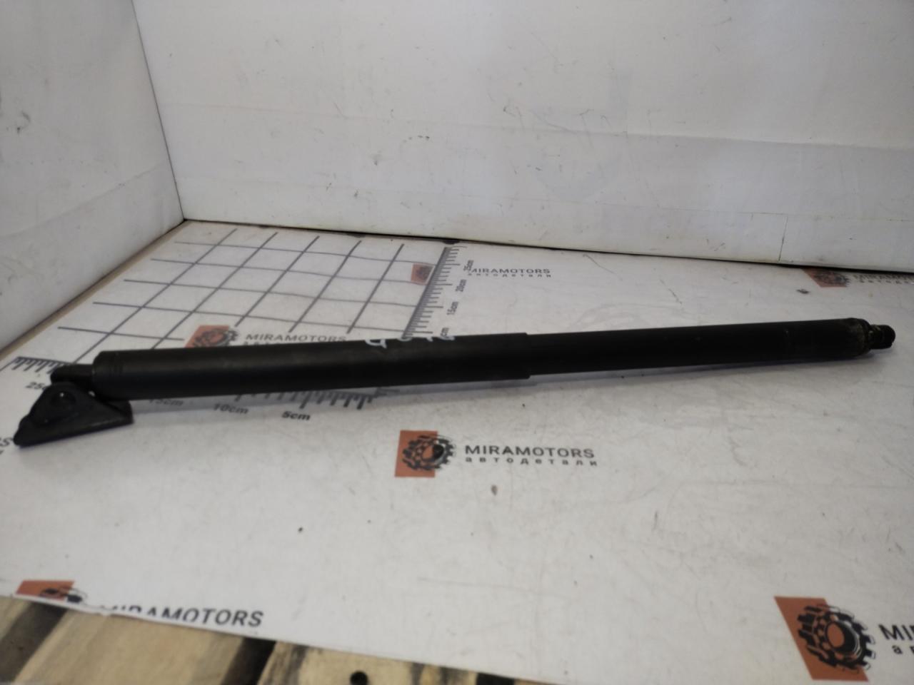 амортизатор крышки багажника (3-5 двери) Chevrolet Equinox 3 поколение 2018, 2.0 л., бензин, АКПП, синий, внедорожник 5 дв., передний привод, 37082427 - фото №1