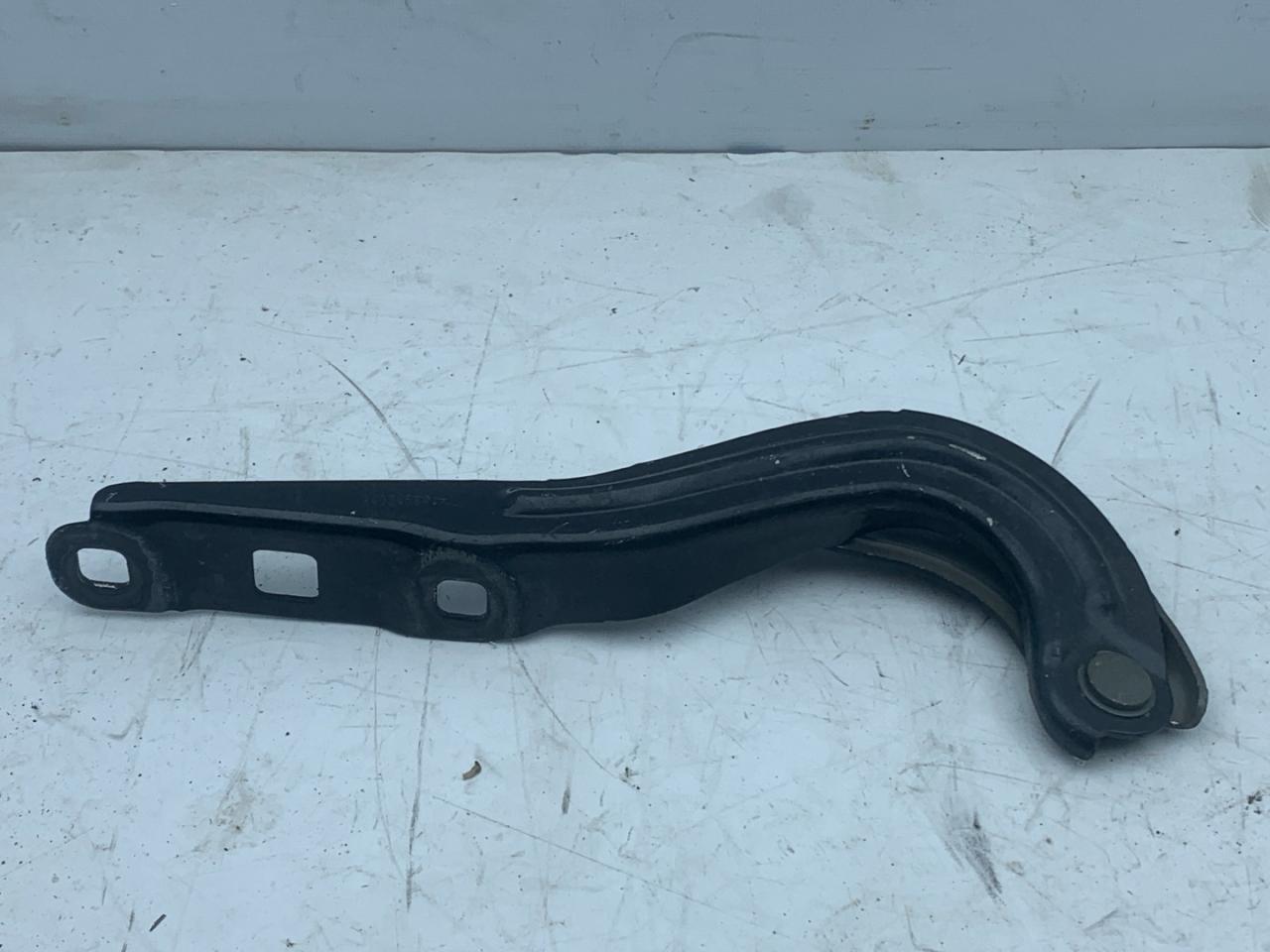 петля капота Chevrolet Equinox 3 поколение 2019, 2.0 л., бензин, АКПП, черный, внедорожник 5 дв., полный привод - фото №1