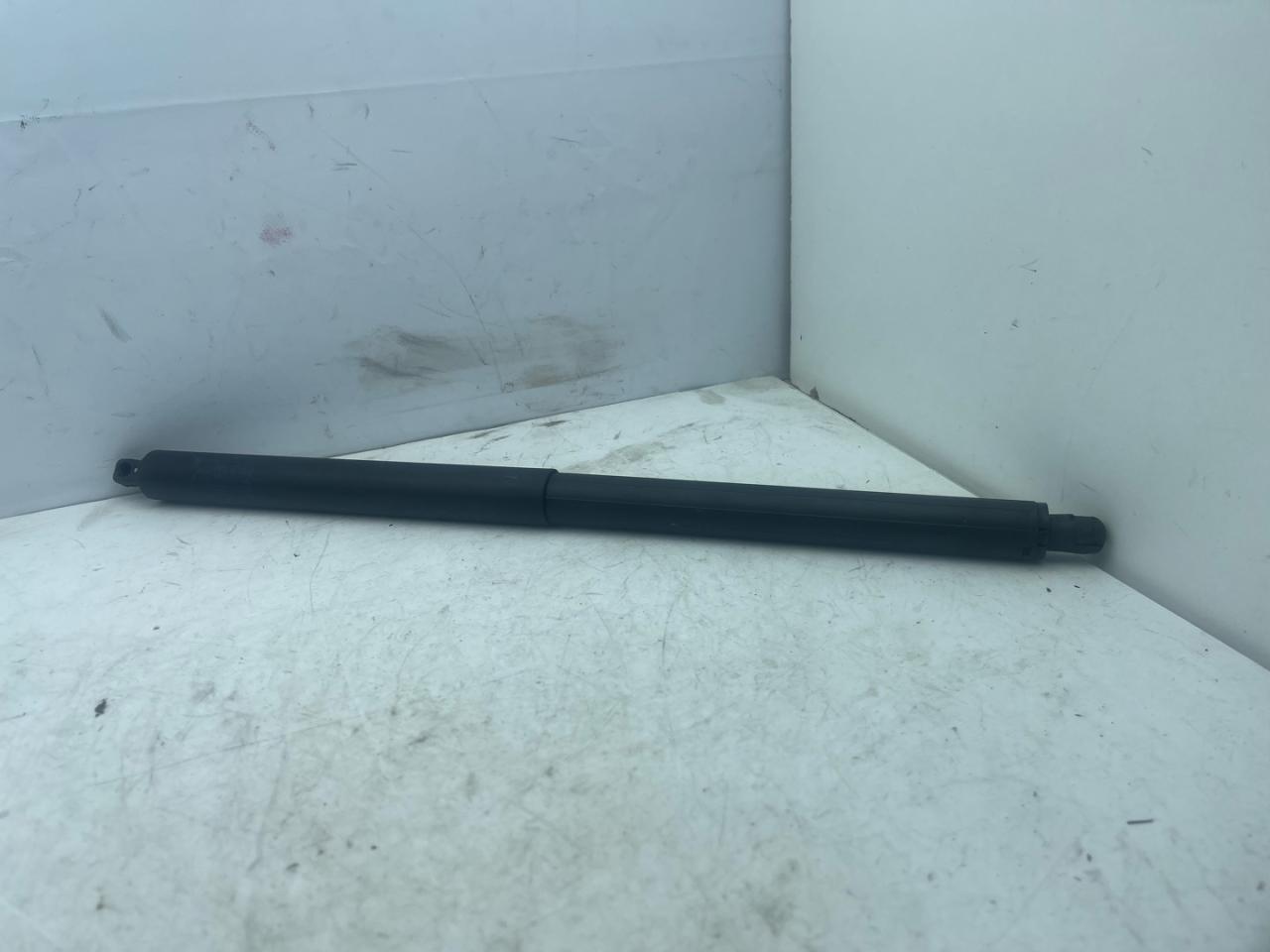 амортизатор крышки багажника (3-5 двери) Chevrolet Equinox 3 поколение 2019, 2.0 л., бензин, АКПП, черный, внедорожник 5 дв., полный привод, 84133944 - фото №1