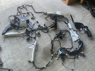 проводка салона Ford Bronco Sport 1 поколение 2021, 1.5 л., бензин, АКПП, серебряный, внедорожник 5 дв., полный подключаемый привод, LX6T14A005, M1PBS01906AA