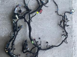 проводка двигателя Ford Bronco Sport 1 поколение 2021, 1.5 л., бензин, АКПП, серебряный, внедорожник 5 дв., полный подключаемый привод, LXT6T14401