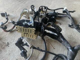 проводка двигателя Ford Bronco Sport 1 поколение 2021, 1.5 л., бензин, АКПП, серебряный, внедорожник 5 дв., полный подключаемый привод, LX6T14B446, LX6T14290