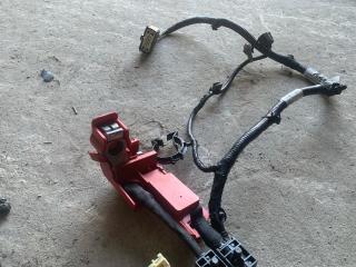 проводка двигателя Ford Bronco Sport 1 поколение 2021, 1.5 л., бензин, АКПП, серебряный, внедорожник 5 дв., полный подключаемый привод, LX6T14305