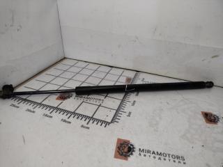 амортизатор крышки багажника (3-5 двери) Ford Bronco Sport 1 поколение 2021, 1.5 л., бензин, АКПП, серебряный, внедорожник 5 дв., полный подключаемый привод, M1PBS406A11AF