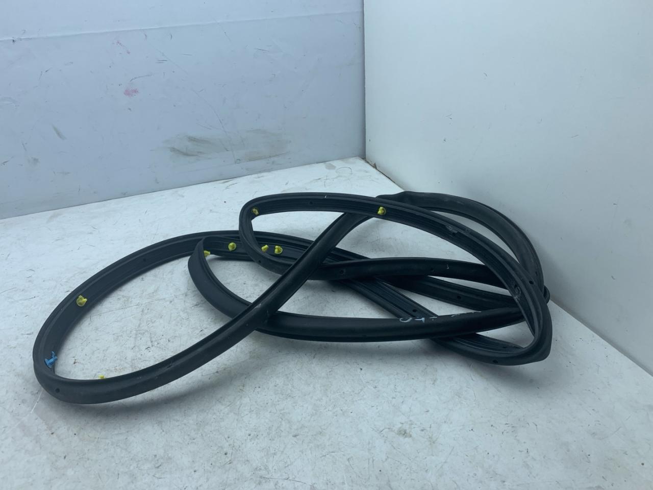 уплотнитель двери Ford Bronco Sport 1 поколение 2021, 1.5 л., бензин, АКПП, серебряный, внедорожник 5 дв., полный подключаемый привод - фото №1