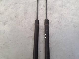 амортизатор крышки багажника (3-5 двери) Renault Modus 1 поколение 2004