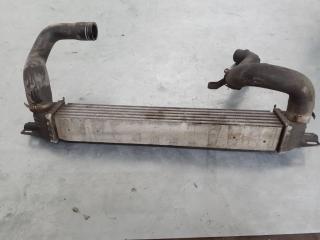 интеркулер Citroen Nemo 1 поколение 2012, 51790623