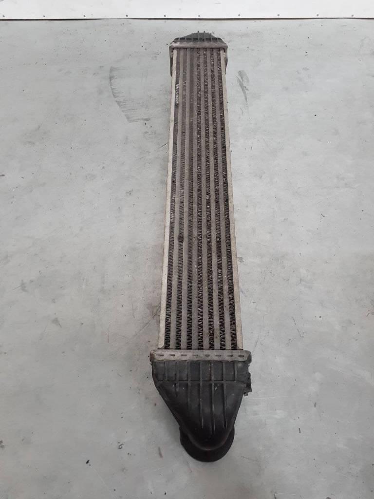 интеркулер Mercedes-Benz A-Класс W169 2004, A1695000000 - фото №1