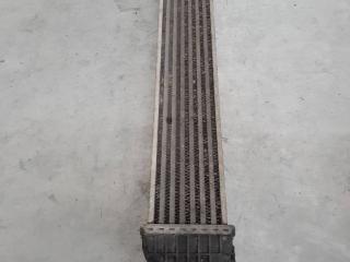 интеркулер Mercedes-Benz A-Класс W169 2004, A1695000000