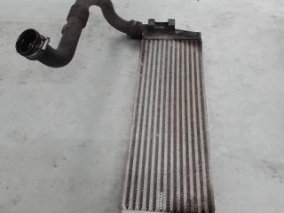 интеркулер Renault Scenic 2 поколение 2003, 160132153F