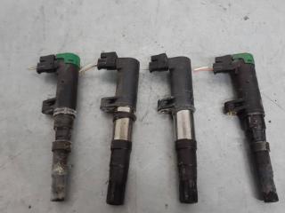 катушка зажигания Renault Kangoo 1 поколение [рестайлинг] 2005, 1.6 л., бензин, 8200765882, 7700875000