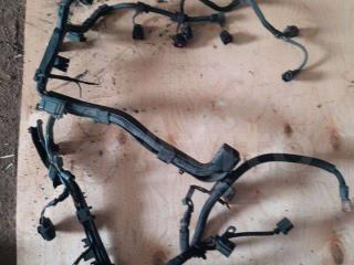 проводка двигателя Skoda Fabia 1 поколение [рестайлинг] 2005, 1.2 л., бензин