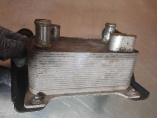 радиатор масляный Volkswagen Passat B6 2006, 2.0 л.