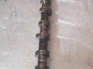 распредвал Mercedes-Benz Vaneo W414 2003, 1.7 л., дизель, 6680500901