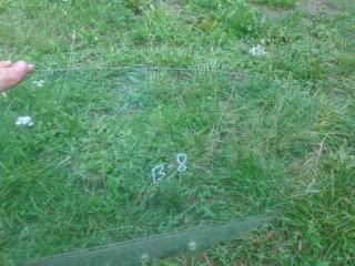 стекло двери задней левой Mitsubishi Carisma 1 поколение [рестайлинг] 2003