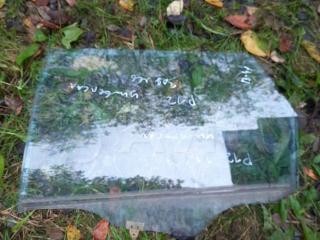 стекло двери задней левой Nissan Primera P12 2002, универсал