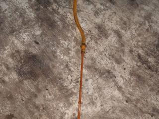 щуп двигателя Renault Clio 2 поколение [рестайлинг] 2003, 1.2 л., бензин