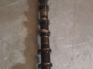 распредвал Ford Transit 7 поколение 2008, 2.2 л., дизель, 1688422