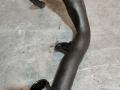 патрубок интеркулера Skoda Fabia 1 поколение (6Y) 2001, 1.9 л., дизель, 6Q0129654, 6Q0129656 - фото №3