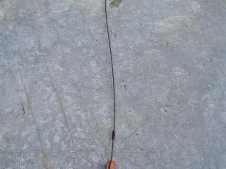 щуп двигателя Citroen Xsara 1 поколение [рестайлинг] 2004, 1.4 л., бензин