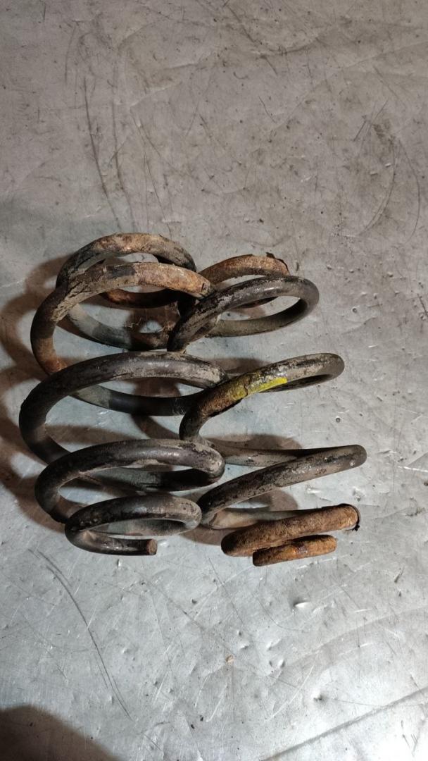 пружина задняя Volkswagen Passat B5 1999 - фото №1