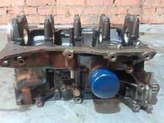 блок цилиндров Renault Modus 1 поколение 2007, 1.6 л., бензин, DA2804, 296737