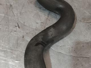 патрубок радиатора Volvo V70 1 поколение (1997 - 2000), 2.5 л., дизель, 9161826