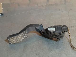 педаль Volkswagen Passat B5 1999, 8D17215237, 6PV00777007