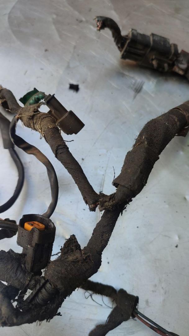 проводка Dodge Caravan 4 поколение (2000 - 2007), 3.3 л., бензин - фото №1