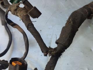 проводка Dodge Caravan 4 поколение (2000 - 2007), 3.3 л., бензин